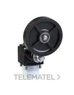 CABEZA PALANCA ROLDANA