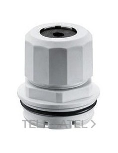 TX/QX PRENSA PCX 3/6