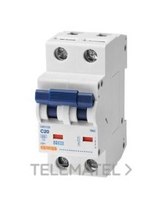 RB60 2P C40 6000A 2M