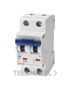 RB60 2P C25 6000A 2M