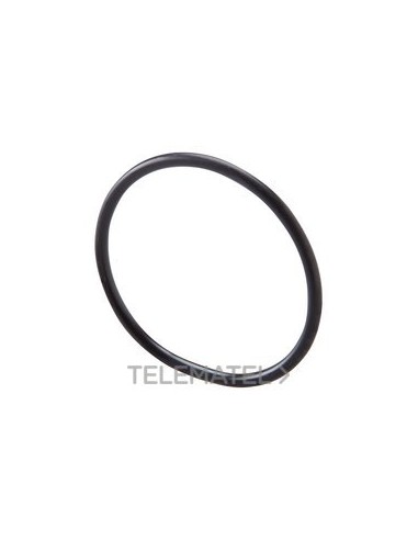 JUNTA ANILLO TOROIDAL PG13,5