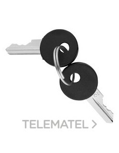 SET 2 LLAVES PARA DISPOSITIVO DE MANDO