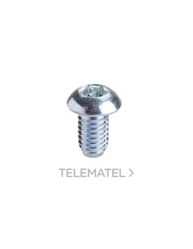 TORNILLO TORX T30 M6x10mm