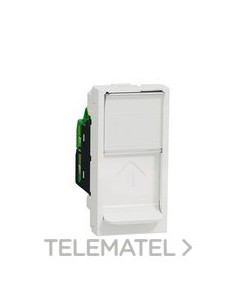 TOMA RJ45 CATEGORÍA 6 UTP 1 MODULO POLAR