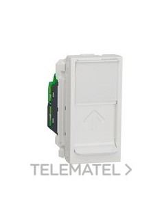 TOMA RJ45 CAT.5e UTP 1 MOD.POLAR