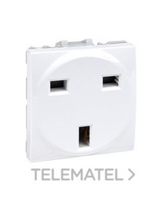 TOMA CTE.BRITISH STD ÚNICA MOD.An BPL.