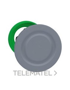 TAPÓN OBT.XB5 MONT.ENRAS.d.30 COLOR GR