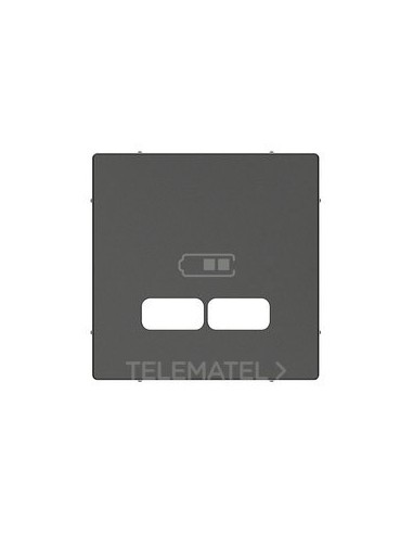 TP.T.CAR.DBL.TIPO USB 2100mA COLOR ANTR.