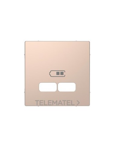 TP.T.CAR.DBL.TIPO USB 2100mA CHAMPAGNE