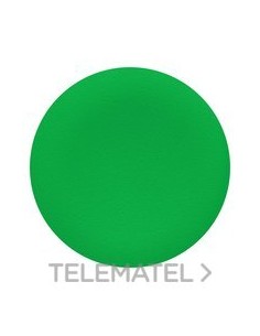 TAPA FONDO VERDE SIN MARCADO