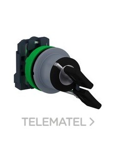 SEL.XB5 MONT.ENRAS.LLV.455 2 POS.FJA.1