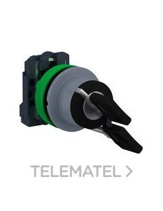 SEL.XB5 MONT.ENRAS.LLV.455 2 POS.FJA.1NA