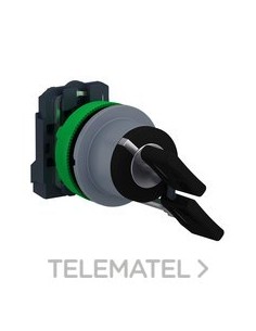 SEL.XB5 MONT.ENRAS.LLV.455 2 POS.FJA.1