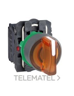 SEL.LUMIN.XB5 NJ.3 POS.FJA.24V AC/DC COL