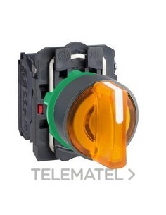 SEL.LUMIN.XB5 NJ.3 POS.FJA.24V 1 NA+1 NC