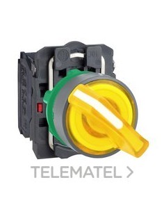 SEL.LUMIN.XB5 NJ.2 POS.FJA.230V AC COLOR