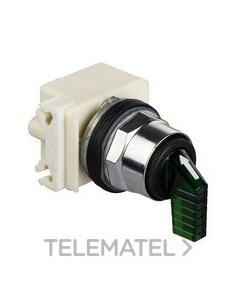 SELECTOR LUMIN.LED 2 POS.24V VD