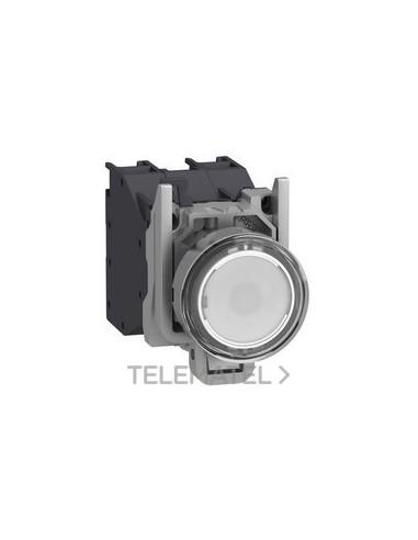 SEL.ILUMINADO XB4 BL CPON.1NA 24...240V