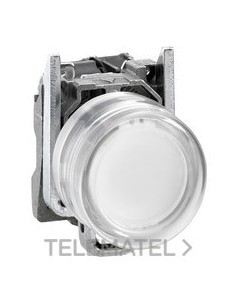 PULSADOR SLCNA.BL 24V AC/CC EX