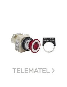 PULSADOR SETA LUM.d.30 24V RJ