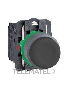 PULSADOR STE.XB5 NG 1 NA CPON.TP CUSTO