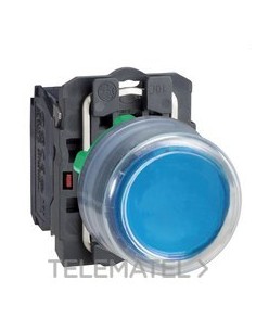 PULS.STE.XB5 AZ 1 NA CPON.TP COLOR GR