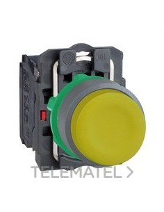 PULS.STE.XB5 AM.1 NA CPON.TP COLOR GR