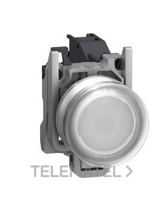PULSADOR RAS.XB4 BL CPON.1 NA ATEX