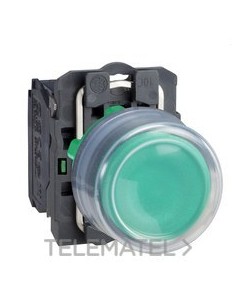 PULSADOR RAS.CPON.d.22 1 NA VD EPLA.