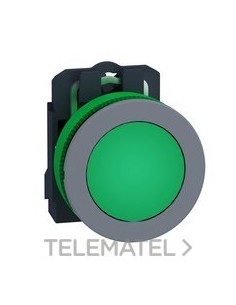 PULS.LUMIN.XB5 MONT.ENRAS.VD 110-120V