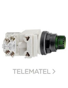 PULSADOR LUMIN.STE.VD 24V 1 NA/NC