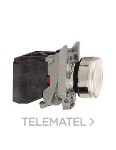 PULSADOR LUMIN.RAS.d.22 250V BL EMET.