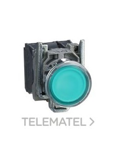 PULSADOR LUMIN.RAS.d.22 24V VD EMET.