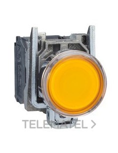 PULSADOR LUMIN.RAS.d.22 24V AM.EMET.