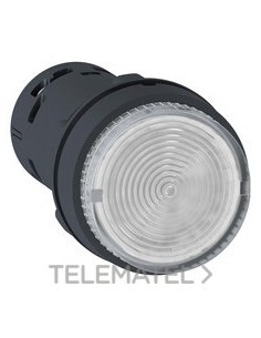 PULSADOR LUMIN.LED IMPULS.TP CA 24V