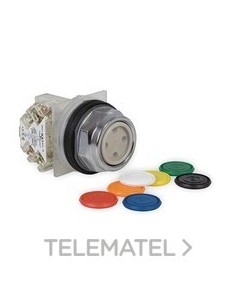 PULSADOR IMP.RAS.TIPO 9001K MCL.