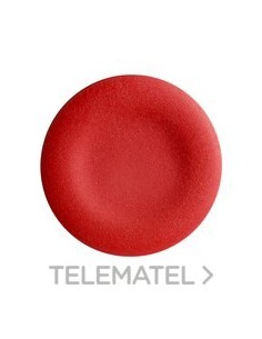 PLACA NO MARCADA P/PULS.RAS.RJ