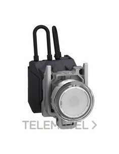 PIL.LUMIN.XB4 "PUSH-TO-TEST" BL 24x240V