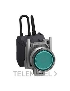 PIL.LUMIN.XB4 "PUSH-TO-TEST" VD 24x240V