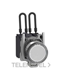 PILOTO LUMIN.XB4 "PUSH-TO-TEST" BL 120V