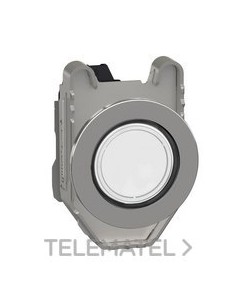 PILOTO LUMIN.XB4 MONT.ENRAS.BL 110-120V