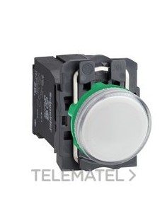 PILOTO LUMIN.TRAFO XB5 120V BL CUSTO