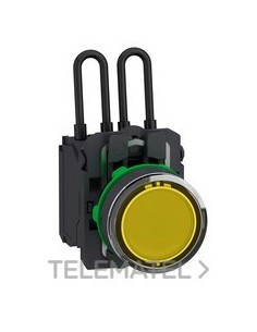 PILOTO LUMIN.PUSH TO TEST AM.24V