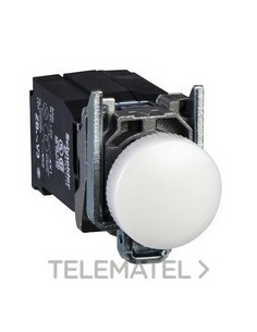 PILOTO BL 440-460V AC TRAFO