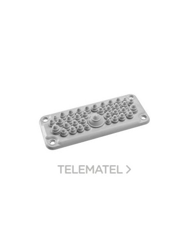 MEMBRANA ENTRADA CABLES FL21 T35