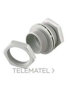 LOTE ASOC.2 MANG.+4 TCA.+4 JTA.