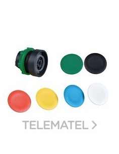 JUEGO PLACAS COLORES (6u)