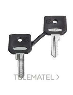 JUEGO LLAVES 421E (2u)