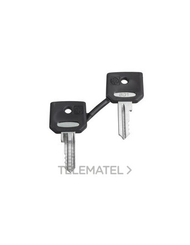 JUEGO LLAVES 3131A (2u)