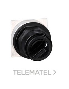 INTERRUPTOR SEL.30mm LUMIN.2 POS.